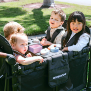 Plateau a collation L4 WONDERFOLD