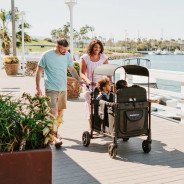 Poussette Wagon 4 Places Wonderfold W4 Elite Volcano Black
