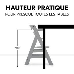 Chaise Haute HAUCK Alpha+