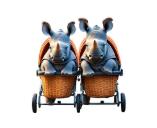 Poussettes & matériel pro